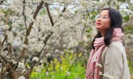 Mê mẩn với hoa mận trắng muốt trên cao nguyên Bắc Hà