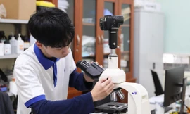 Nghiên cứu khoa học cần thực chất, trung thực Ảnh minh họa: ANH THƯ