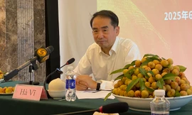 ‘Cùng thưởng thức vải đỏ - Cùng chia sẻ tình đồng chí’