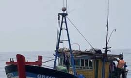 Quảng Trị: Bắt giữ hai tàu cá đánh bắt thủy sản trái phép