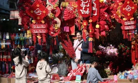 Người trẻ Hà Nội háo hức xuống phố đón Tết, mang mùa xuân về nhà