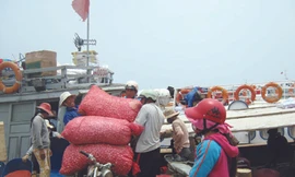 Đảo tỏi nhập... tỏi