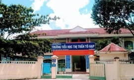 Vụ 29 học sinh nhập viện sau khi ăn cơm cuộn: Phát hiện vi khuẩn trong rong biển