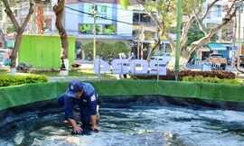 Sửa chữa mô hình 'cá chép hóa rồng' bị cháy tại Nha Trang