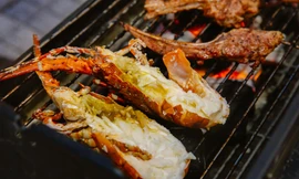 Cam Ranh 'đãi tiệc' tôm hùm giá rẻ, du khách thích mê