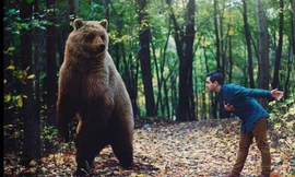 Hai du khách Nga trốn vé vào Công viên Quốc gia rồi đấm xỉu chú gấu vì tưởng là bảo vệ soát vé