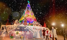 Hà Nội: Bạn đã kịp check-in cùng “cây măng Noel” đẹp như ở trời Âu chưa?