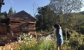 “Về quê nuôi cá và trồng thêm rau” hóa ra chẳng phải cuộc sống trong mơ, bạn còn phải giắt túi cả tỉ đồng!