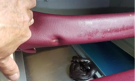 Khách lén đem “bé Na” lên chuyến xe đêm Cần Thơ - Đà Lạt rồi để sổng khiến cả xe hoảng loạn