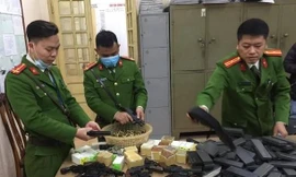 Sau thẩm tra, Hà Nội thông qua việc tăng mức hỗ trợ cho Cảnh sát hình sự cấp huyện 