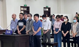 Phúc thẩm vụ Công ty Việt Á: Cựu vụ phó Bộ KH&CN liệt kê cả bằng khen, giấy khen của con mong tòa ghi nhận