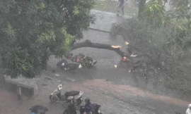 Công an Hà Nội khuyến cáo những khu vực tránh đi qua khi bão YAGI đổ bộ 