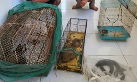 Bắt quả tang 2 đối tượng săn bắt, vận chuyển nhiều động vật rừng nguy cấp, quý hiếm