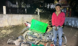  Bắt giữ vụ vận chuyển động vật rừng quý hiếm số lượng lớn ở Lao Bảo