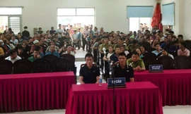 Hai anh em ruột vướng lao lý vì vào rừng lấy gỗ nghiến làm thớt