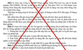 Công an vào cuộc vụ làm giả quyết định giao 392ha đất trồng rừng cho doanh nghiệp