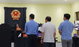 Tòa yêu cầu điều tra bổ sung vụ cha con 'thiếu gia' điện gió ở miền Tây