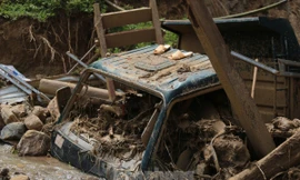 Trước thảm họa 