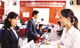 Không còn đường lùi