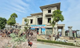 Biệt thự nuôi gà, trồng rau ngoại thành Hà Nội bất ngờ được thổi giá 'dựng ngược'