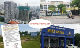 Thanh tra 'điểm nóng' quy hoạch đô thị mẫu, giá căn hộ vùng ven bị đẩy cao ngất