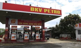Thêm 'ông trùm' xăng dầu bị dừng thủ tục xuất nhập khẩu 