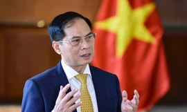 Phó Thủ tướng Bùi Thanh Sơn thêm nhiệm vụ mới