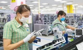 Kim ngạch xuất nhập khẩu bất ngờ chững lại 