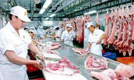 Nguy cơ thiếu nguồn cung thịt đến Tết nguyên đán 2022 nếu dịch bệnh kéo dài