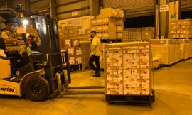 Vải thiều Bắc Giang đi 'siêu tàu bay' cập cảng hàng không Nhật Bản