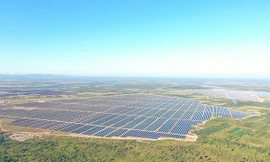 Bộ Công Thương bổ sung 142 dự án điện mặt trời từng bị thanh tra vào quy hoạch