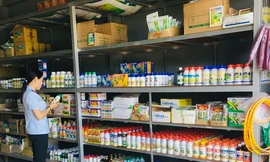 Doanh nghiệp thuốc trừ sâu cạnh tranh khốc liệt vì nông dân bỏ ruộng 