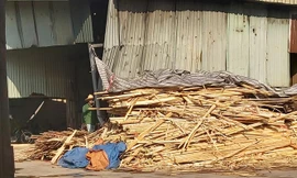 Một xưởng sản xuất gỗ ép gây ô nhiễm môi trường trên địa bàn huyện Đông Anh. Ảnh Võ Hóa. 