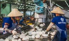 Xuất khẩu nông sản sắp thêm mặt hàng gia nhập 'câu lạc bộ' tỷ USD