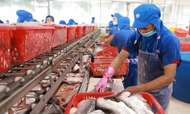 Anh, Brazil bất ngờ chi đậm nhập khẩu cá tra Việt Nam