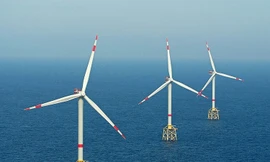 Không lùi tiến độ các dự án điện gió ngoài khơi 