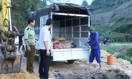 Liên tiếp phát hiện hàng loạt vụ cá tầm nhập lậu từ Trung Quốc vào Việt Nam