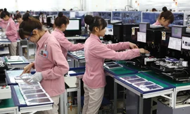 Hơn 1.000 doanh nghiệp làm việc xuyên Tết, xuất khẩu tăng vọt 