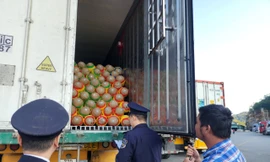 Gần 800 tấn nông sản Việt xuất Trung Quốc ngày mùng 1 Tết