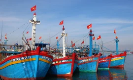 Công bố 74 khu neo đậu trú bão an toàn cho ngư dân