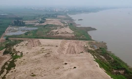 Bộ Nông nghiệp yêu cầu 'cứu' hàng loạt tuyến đê bị 'móc ruột'