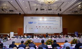 Hiến kế giúp Việt Nam giảm thiếu điện, phụ thuộc vào than