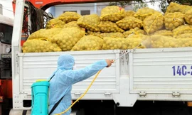 Thiếu kho đông lạnh, xuất khẩu nông sản gặp khó