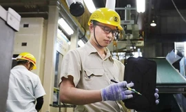 Lao động làm việc ở nước ngoài mất việc do dịch COVID-19 được hỗ trợ ra sao?