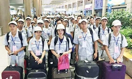 Lao động sang Hàn Quốc làm việc phải ký quỹ 100 triệu đồng