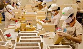 Gỗ Trung Quốc giả mác hàng Việt để xuất sang Mỹ như thế nào?