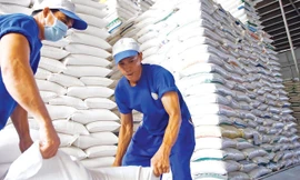 Giá gạo Việt tăng cao nhất trong vòng 2 năm