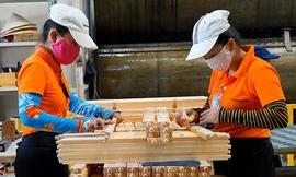 Tin vui cho ngành gỗ Việt Nam xuất khẩu sang Mỹ
