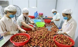 Xuất khẩu nông sản tăng vọt, Bộ Nông nghiệp và Phát triển Nông thôn nâng mục tiêu đạt 55 tỷ USD 