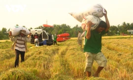 Chủ tịch Hiệp hội lúa gạo nói về 'món nợ' lớn nhất với nông dân